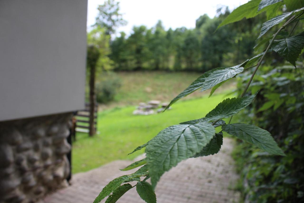 Apartamenty Swistak Maciej Dunajczan Bukowina Tatrzańska Extérieur photo