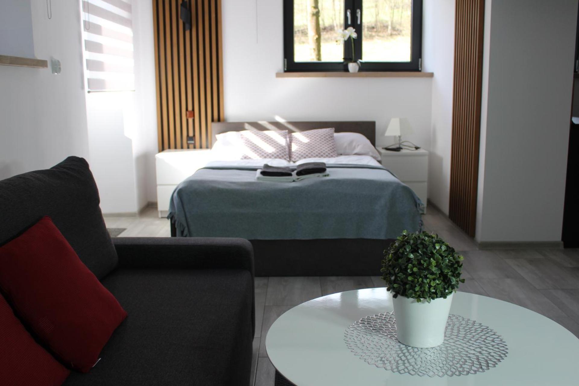 Apartamenty Swistak Maciej Dunajczan Bukowina Tatrzańska Extérieur photo